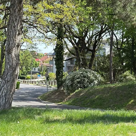 Apartment Edison 209